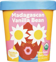 Organic Dairy-Free Ice Cream product image.