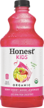Organic Lemonade product image.