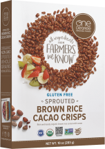 Organic Sprouted Brown Rice Crisps product image.