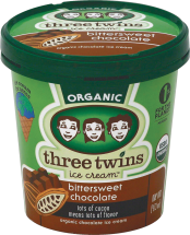 Organic Ice Cream product image.