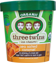 Organic Ice Cream product image.