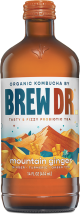 Organic Kombucha product image.
