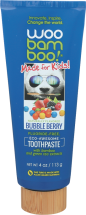 Kids Toothpaste product image.