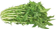 Organic Chicory product image.
