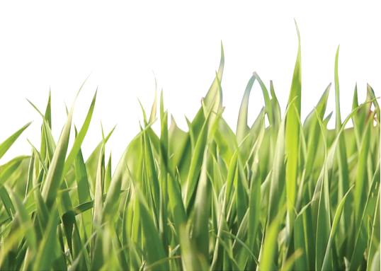 Herbal ArmorInsect Repellent product image.
