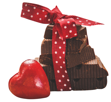 Dark Chocolate Panther Bar product image.