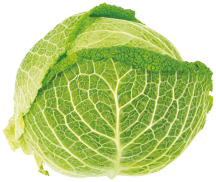 Organic product image.