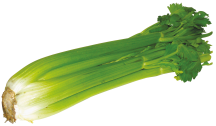 Organic Celery product image.