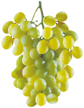 Organic product image.
