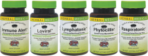 Herbs Etc Immune Group product image.