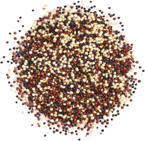 Quinoa, Tri-Color product image.