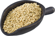 Organic Short Grain Brown Rice product image.