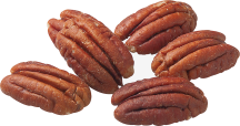 Organic Raw Pecan Halves product image.
