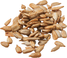 Organic Pumpkin Seeds product image.