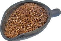 100% Organic Red Quinoa product image.