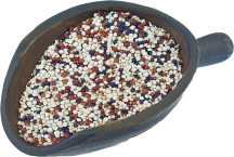 Organic Quinoa product image.
