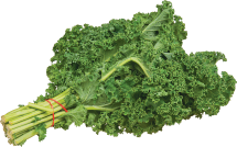 Organic Kale product image.