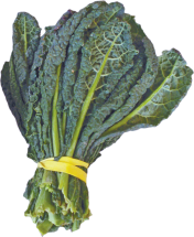 Organic Lacinato Kale product image.