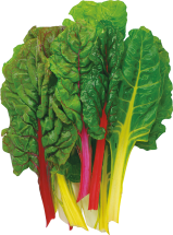 Organic Green, Red & Rainbow Chard product image.