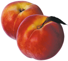 Organic product image.