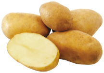 Organic product image.